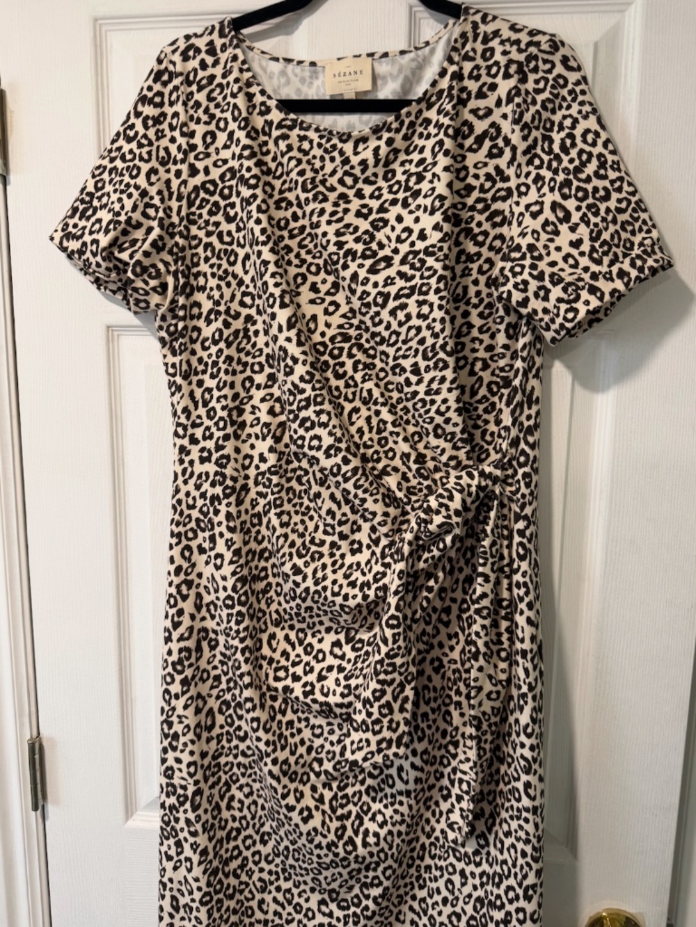 Beige and Black Leopard Print Tie-Waist Dress